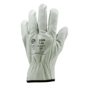 EUROSTRONG 2210 beige sup cow grain leather gloves, S.