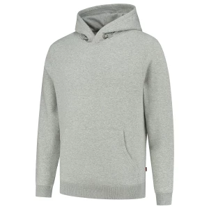 Sweater\u0020Capuchon - Greymel